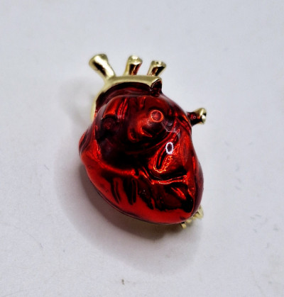 брошь(3.5см) анатомическое сердце